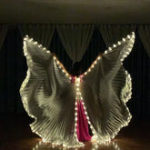 Phantom Wings LED Cape – Adult Light-Up Performance Costume